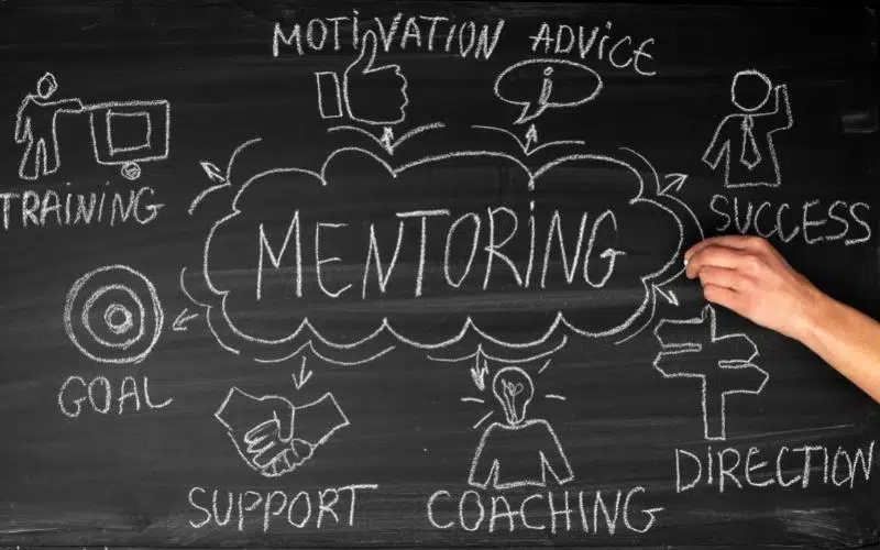 What is Business Mentoring
